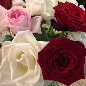 Meet your Posher, Dawn